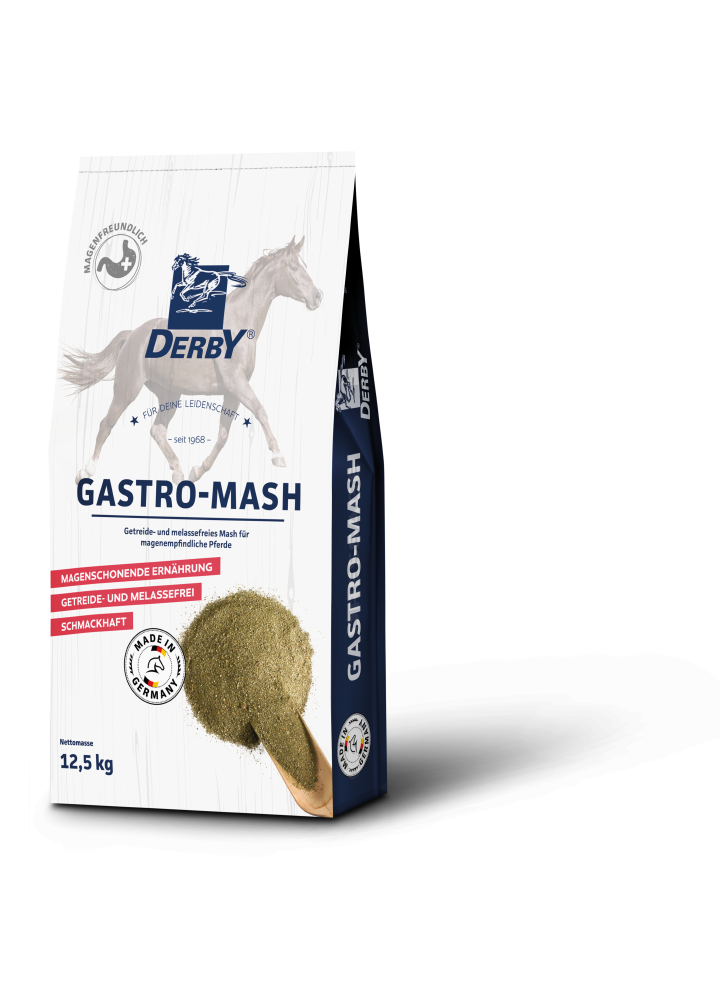 Derby Gastro Mash