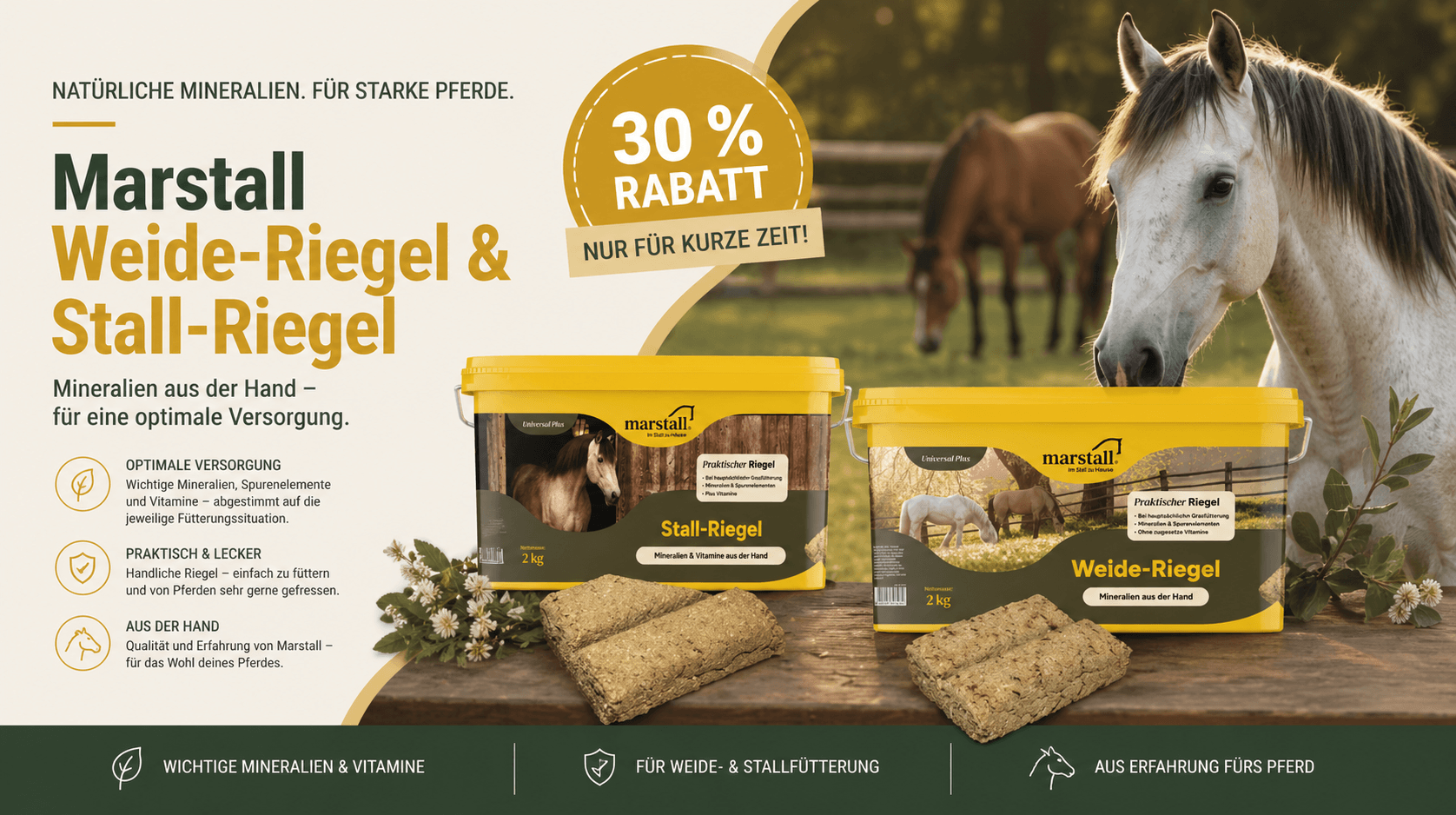 Marstall Weide-Riegel und Stall-Riegel 2 kg – Mineralienriegel für Pferde mit 30 Prozent Rabatt
