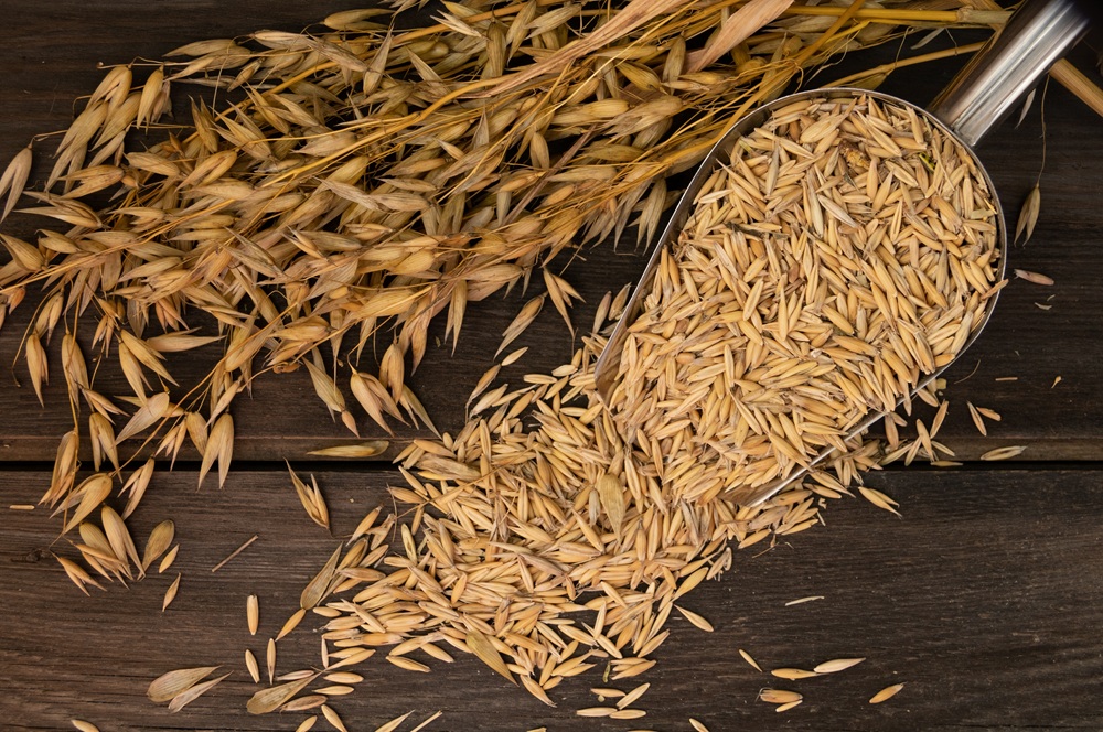 Haferkörner und Haferähren auf einem Holztisch – Symbolbild zum Thema Hafer in der Pferdefütterung