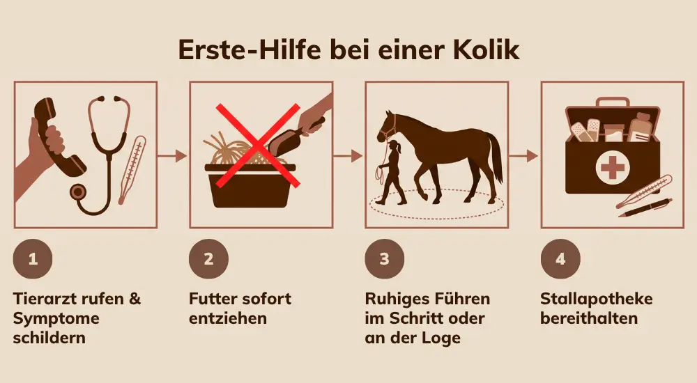 Sommerekzem beim Pferd: So sieht es aus.