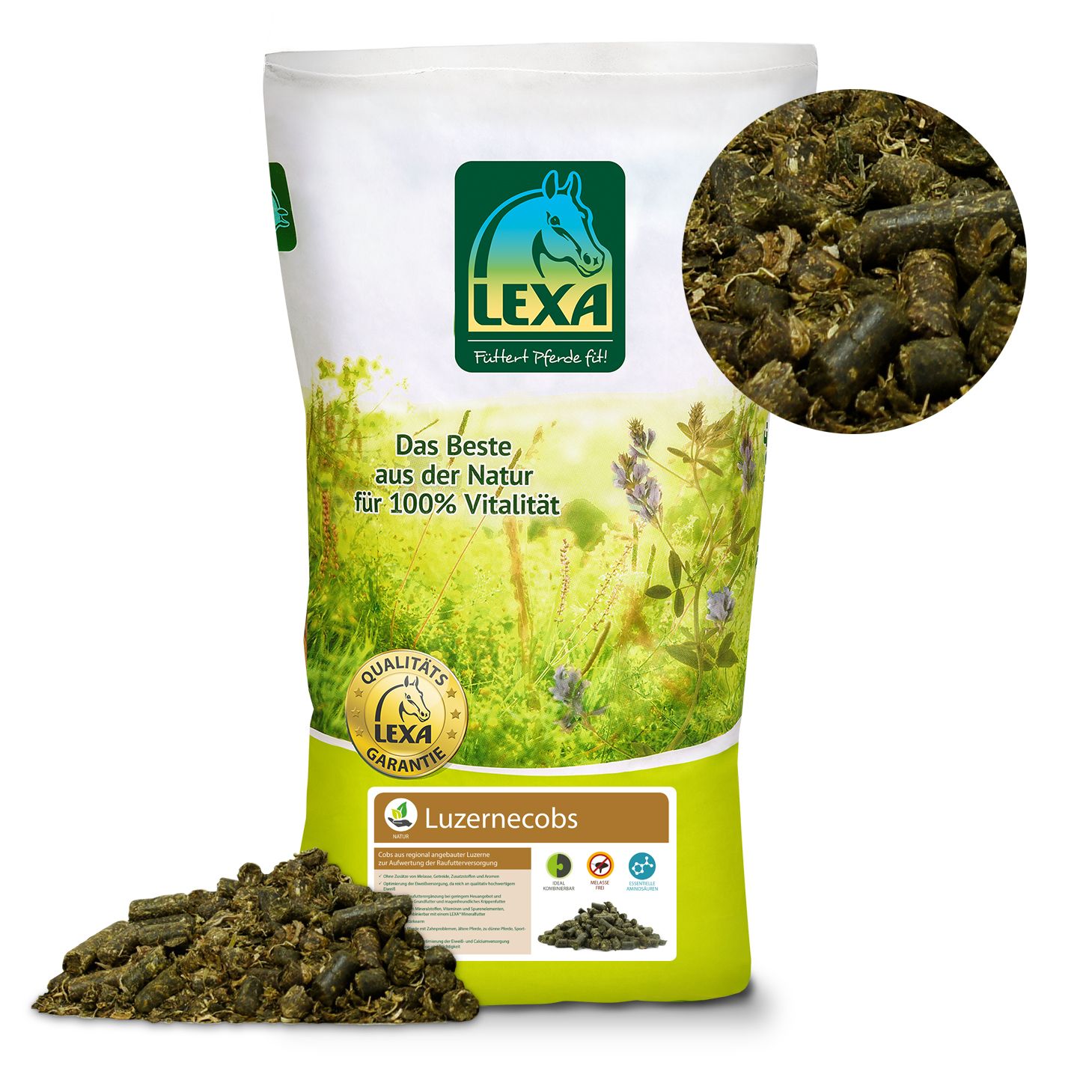 Lexa Luzernecobs 