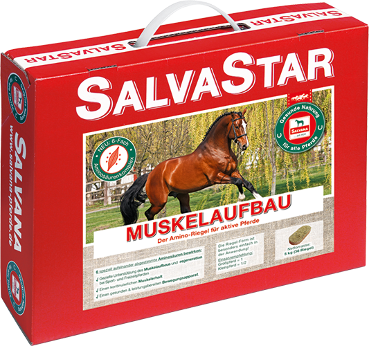 Salvana Salvastar Muskelaufbau 
