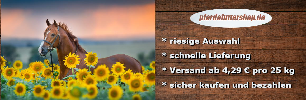 Braunes Pferd steht auf einer Sonnenblumenwiese 