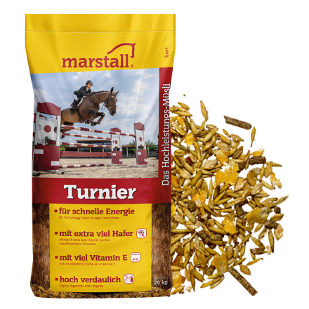 Marstall Turnier 