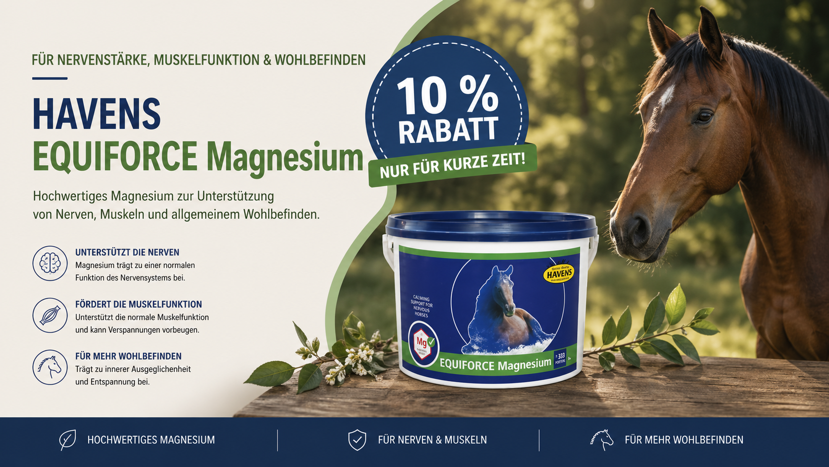 Havens Equiforce Magnesium für Pferde – Ergänzungsfutter zur Unterstützung von Nerven, Muskeln und Wohlbefinden