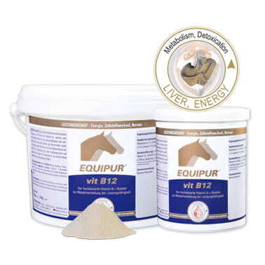 Equipur Vit B 12 