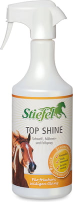 Stiefel Top Shine 