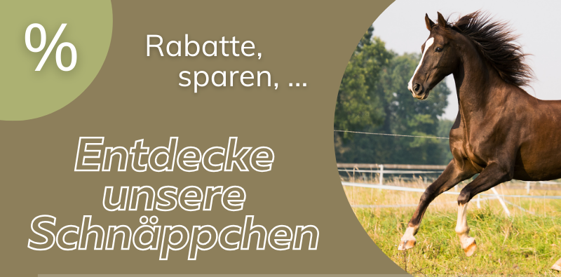 Banner mit Pferd auf der Weide und Hinweis auf Rabatte und Schnäppchen bei Pferdefuttershop