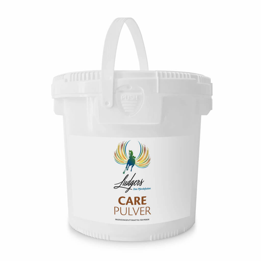 Ludgers N Care Pulver MHD 25.03.2027