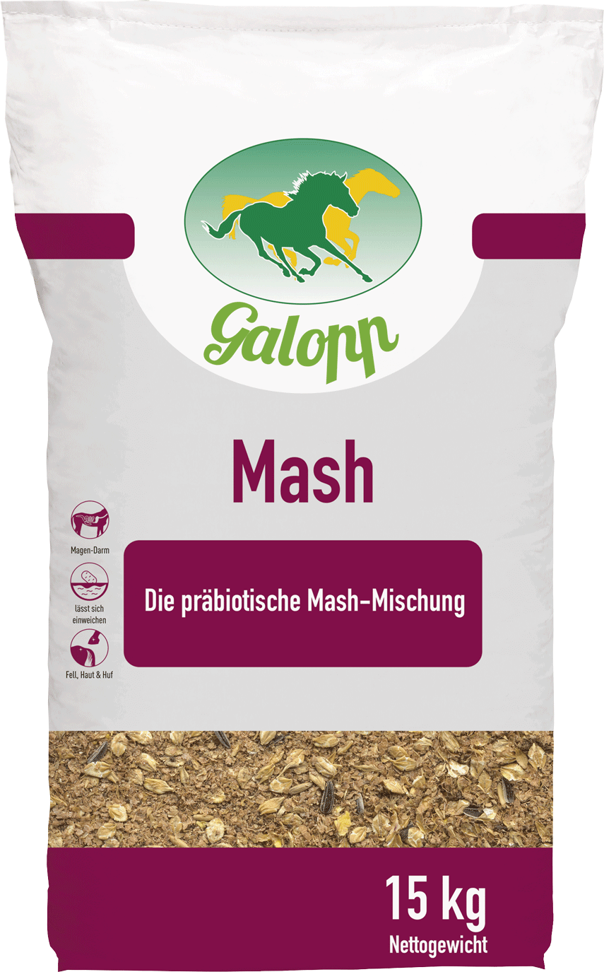 Galopp Mash 