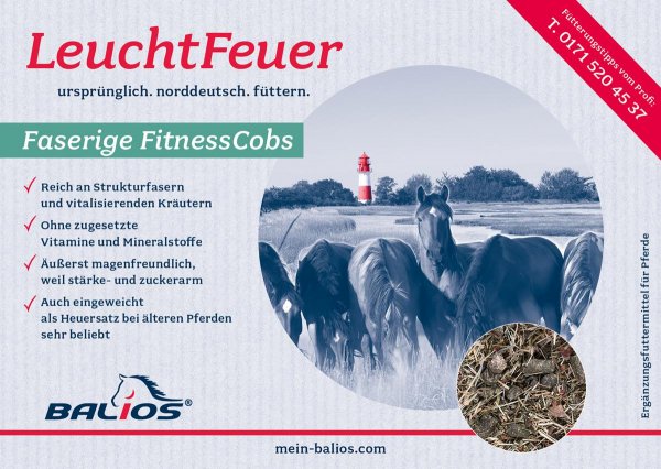 Balios Leuchtfeuer Faserige FitnessCobs 2.0 