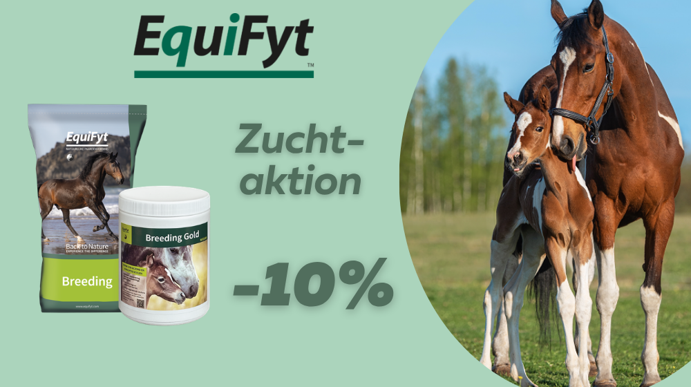 EquiFyt Zuchtfutter Stute Fohlen Breeding Gold Unterstützung Fruchtbarkeit Pferd