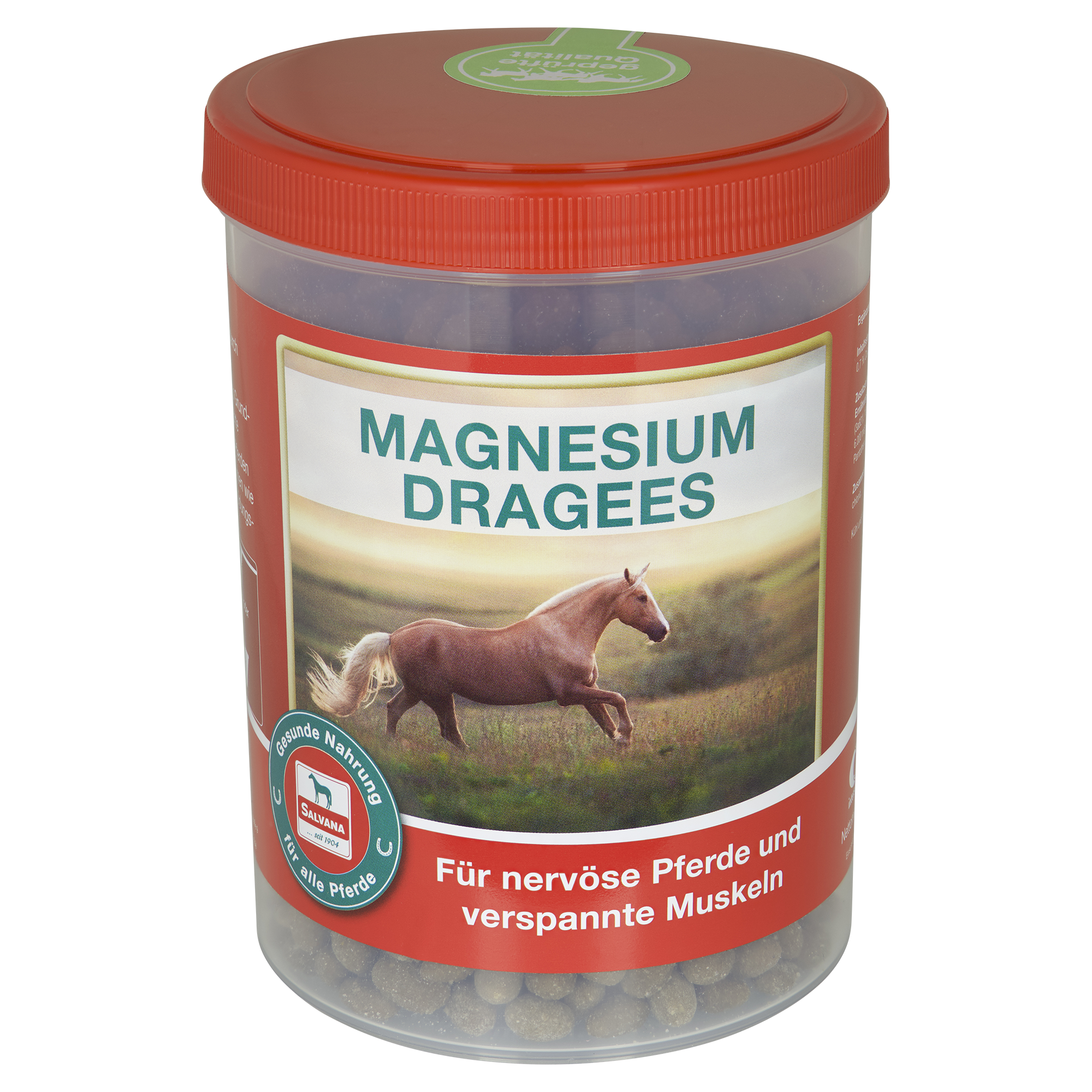Salvana Magnesium Dragees 