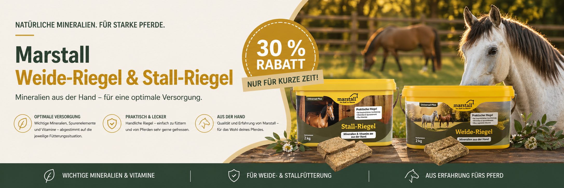 Marstall Weide-Riegel und Stall-Riegel 2 kg – Mineralienriegel für Pferde mit 30 Prozent Rabatt