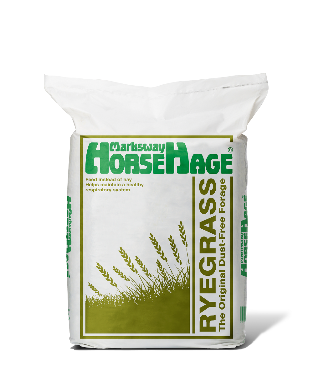 HorseHage RYEGRAS grün
