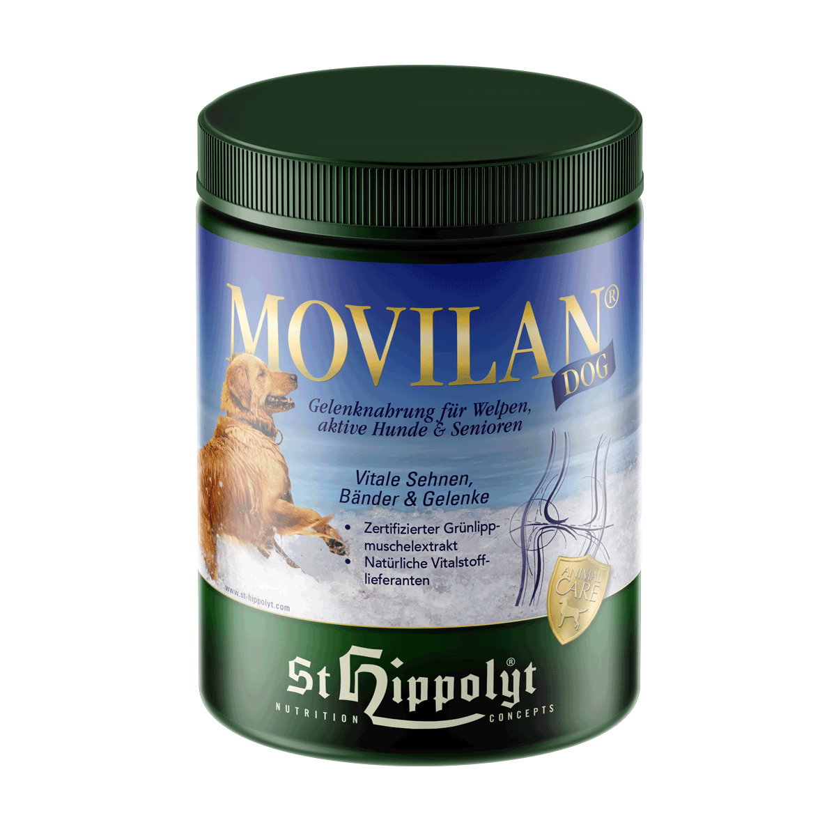 St. Hippolyt Movilan Dog 