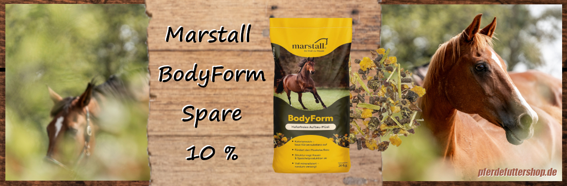 Marstall BodyForm12