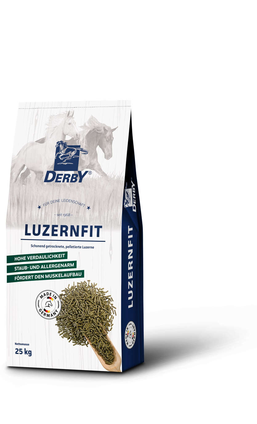 Derby Luzernfit pell.