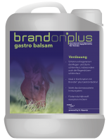 Brandon plus gastro Balsam