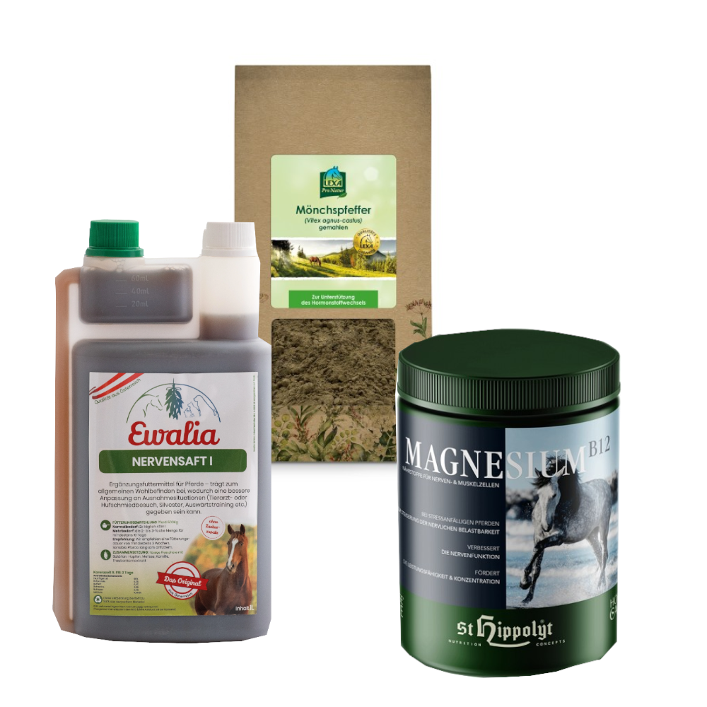 Frühlingsgefühle – Ausgleich & Gelassenheit für Pferde