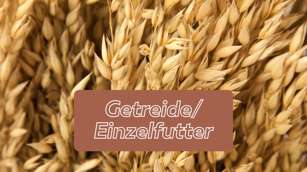 Getreide und Einzelfutter für Pferde