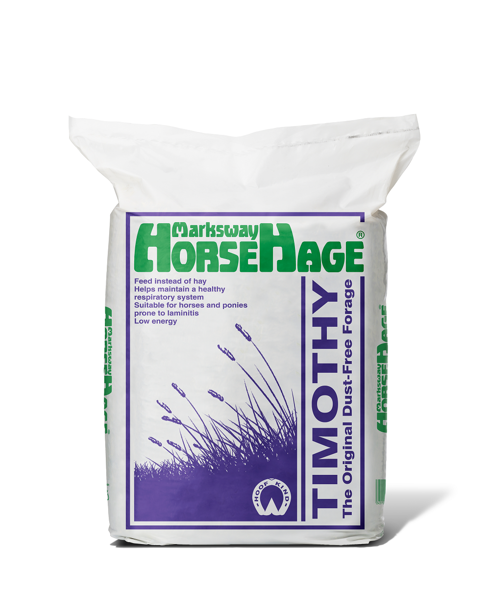 HorseHage Timothee-Gras