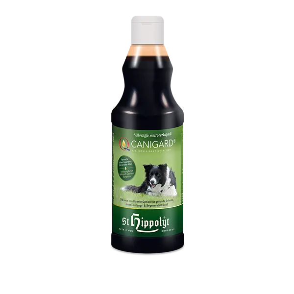 St. Hippolyt Canigard 