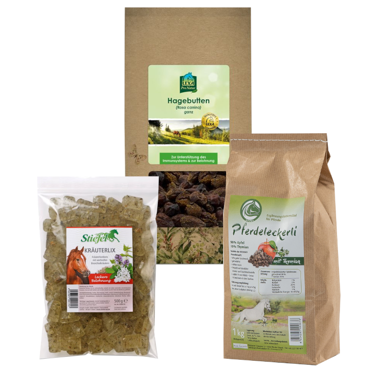 Winterstarkes Kräuter-Bundle – Für starke Atemwege, Immunsystem & Wohlbefinden