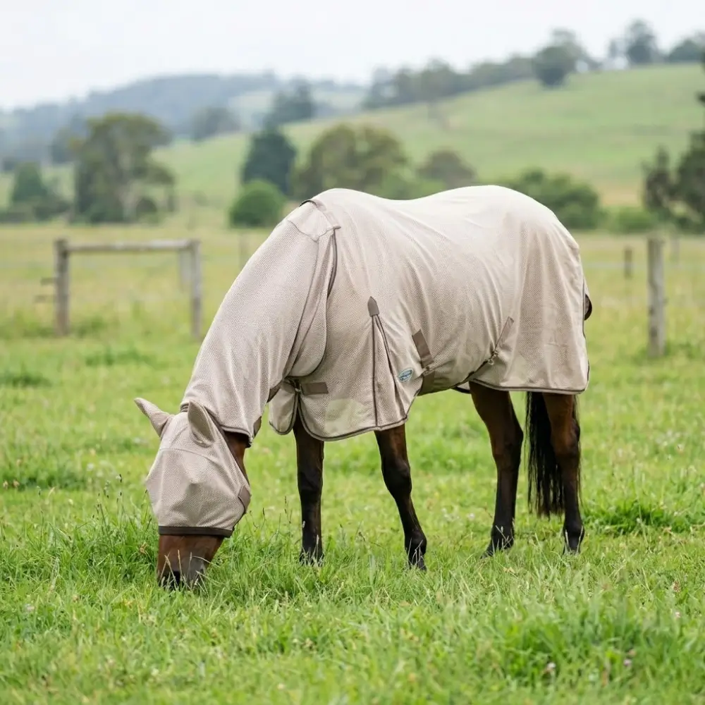 Pferd mit Ekzemerdecke