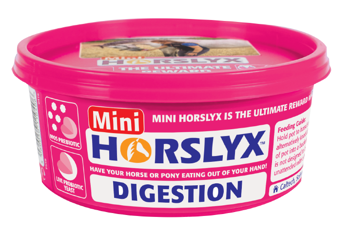 Derby Horslyx Digestion