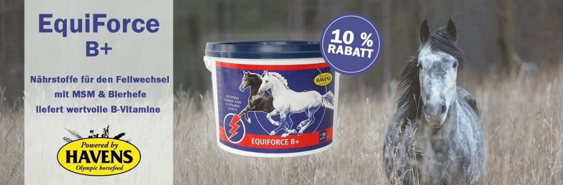 Equiforce Aktion E+