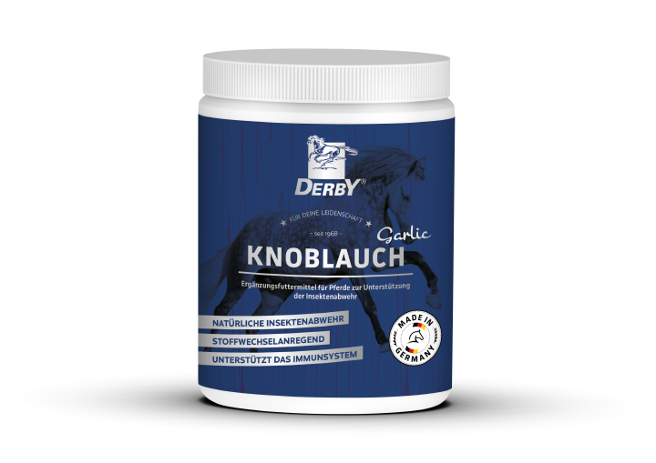 Derby Knoblauch