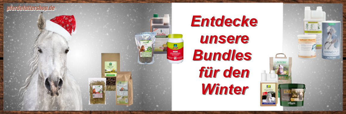 Bundle Winter