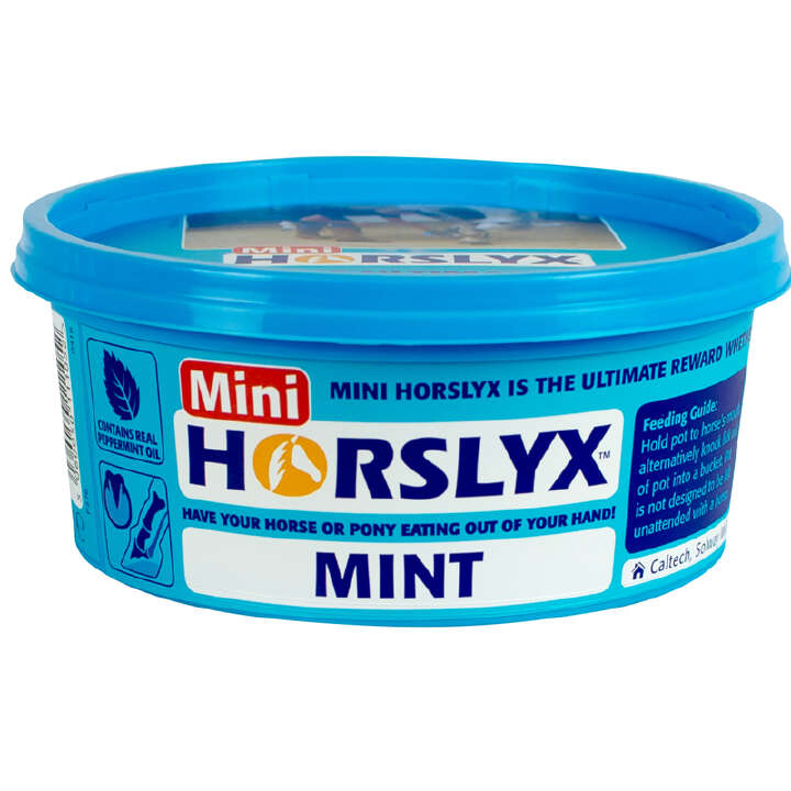 Derby Horslyx Mint