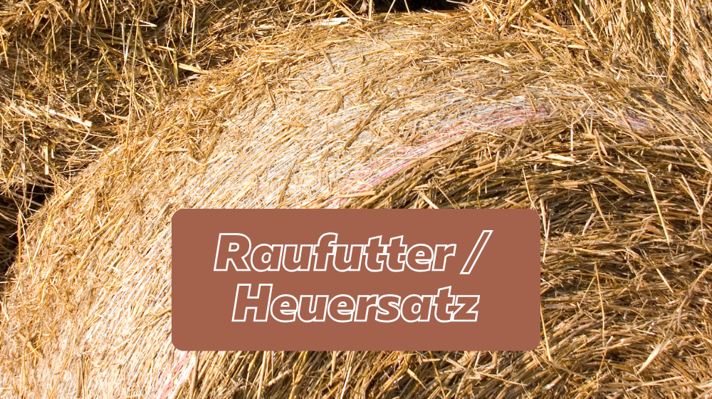 Raufutter und Heuersatz für Pferde