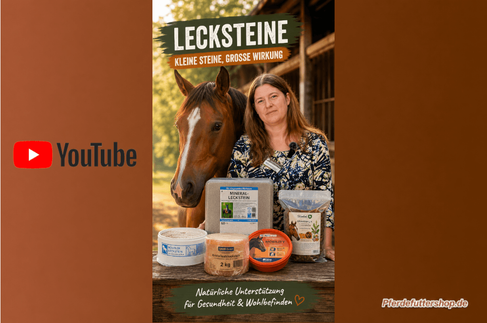 Lecksteine für Pferde mit verschiedenen Salz- und Minerallecksteinen – Ratgeber vom Pferdefuttershop.de