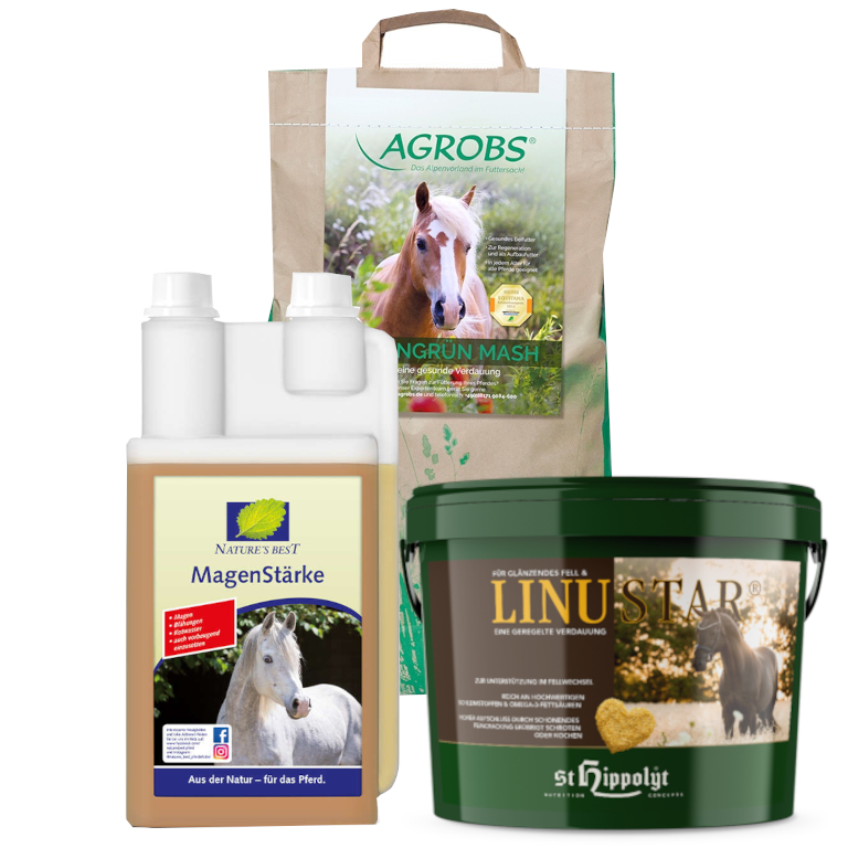 Winter-Wohlfühl-Bundle für einen starken Magen-Darm-Trakt