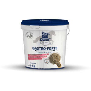 Derby Gastro Forte