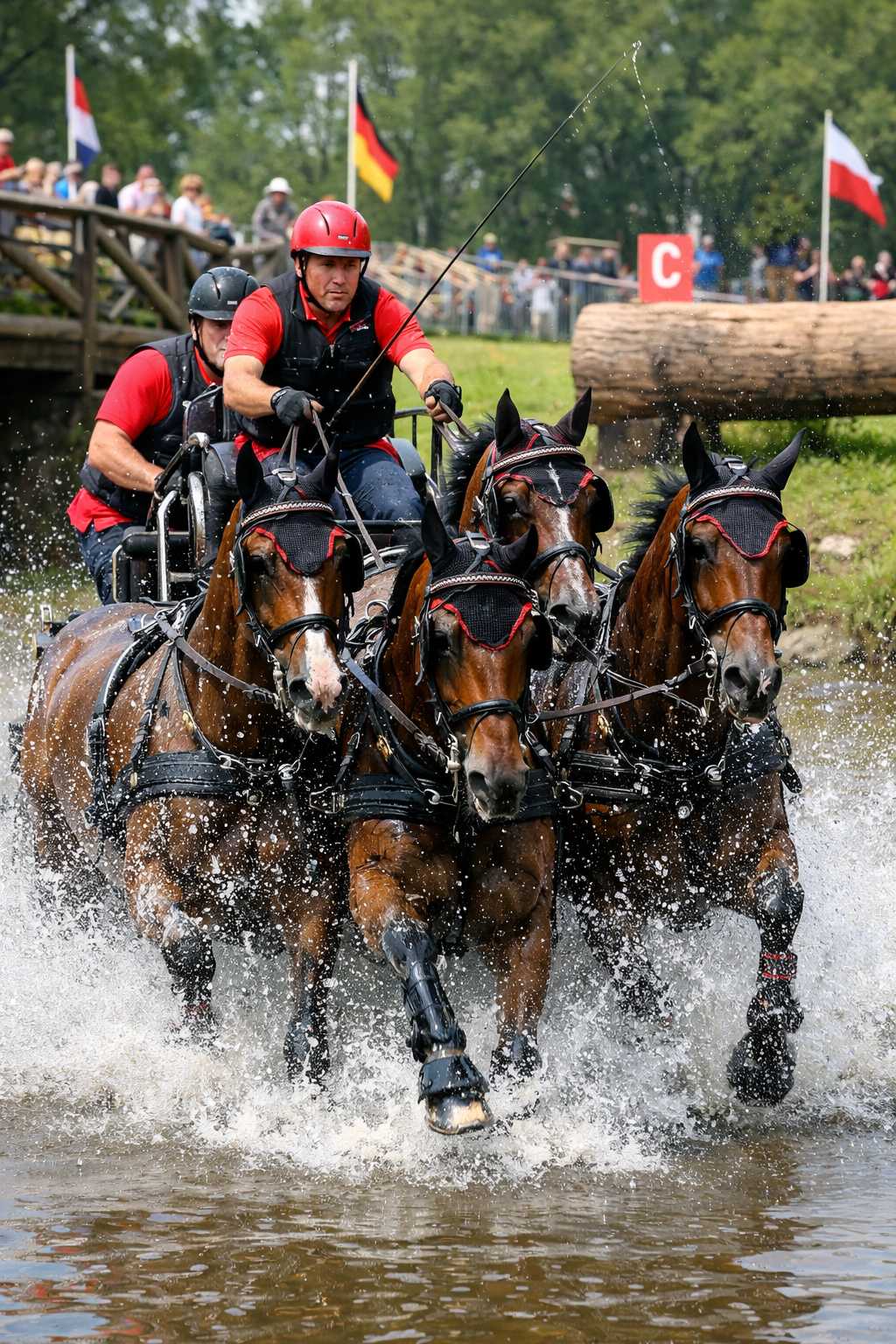 Vierspänner mit Fahrer und Beifahrer fährt durch ein Wasserhindernis bei einem Fahrturnier im Gelände