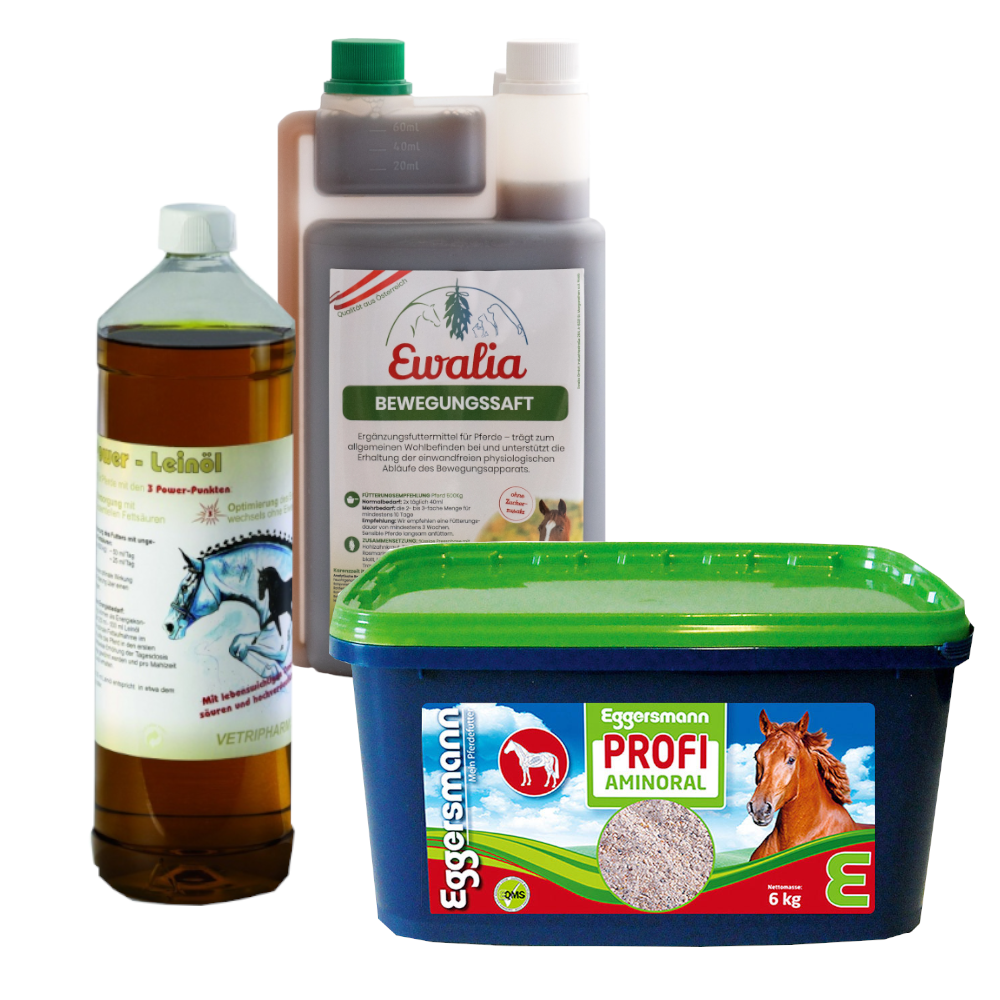 Senior Bundle – Vitalität und Beweglichkeit für ältere Pferde