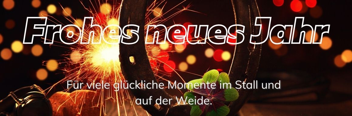 Silvesterfeuerwerk hinter einem Hufeisen