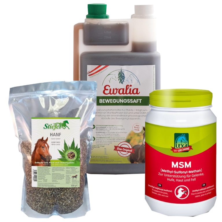 Winter-Mobilitäts-Bundle – Für Gelenke, Muskulatur & geschmeidige Bewegungen