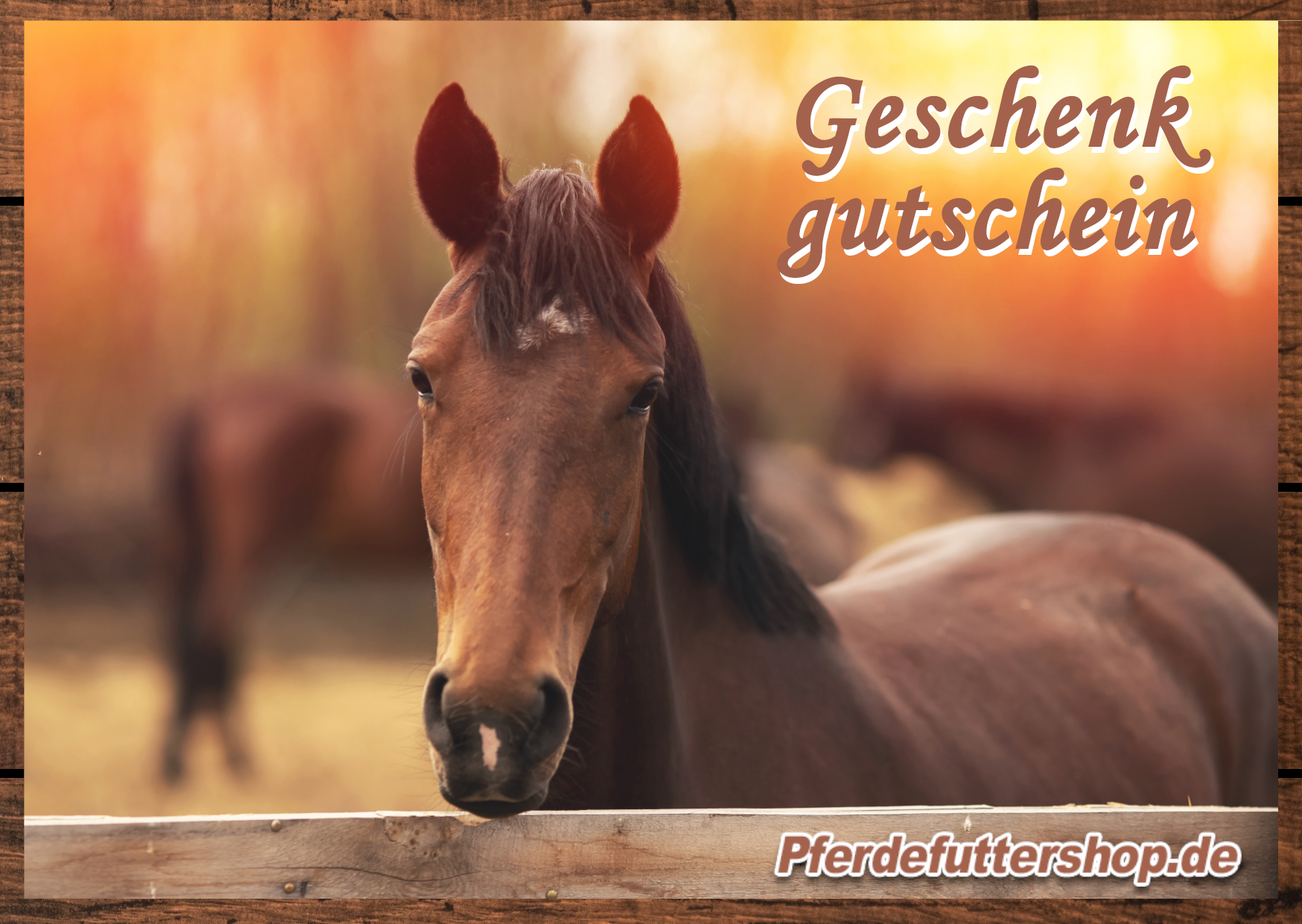 Geschenkgutschein 10,- €