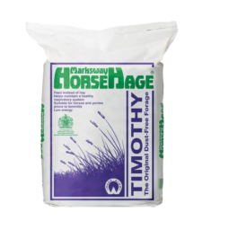 HorseHage Timothee-Gras