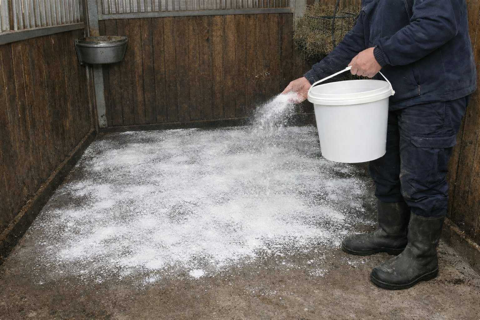 Eine Person streut Pulver zur Hygiene und Desinfektion auf den Stallboden