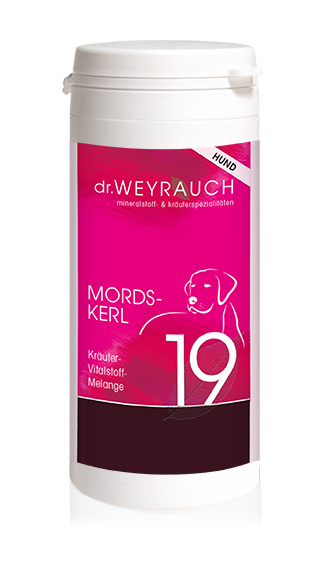 Dr. Weyrauch Nr 19 Mordskerl Hund