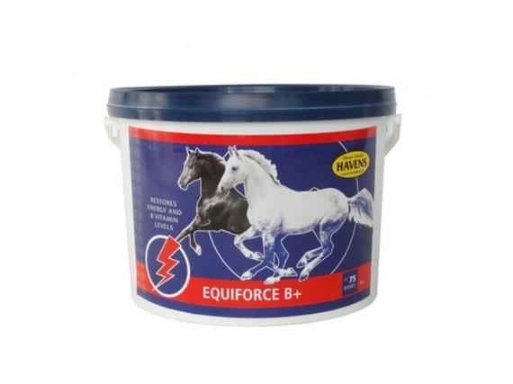 Havens EquiForce B+