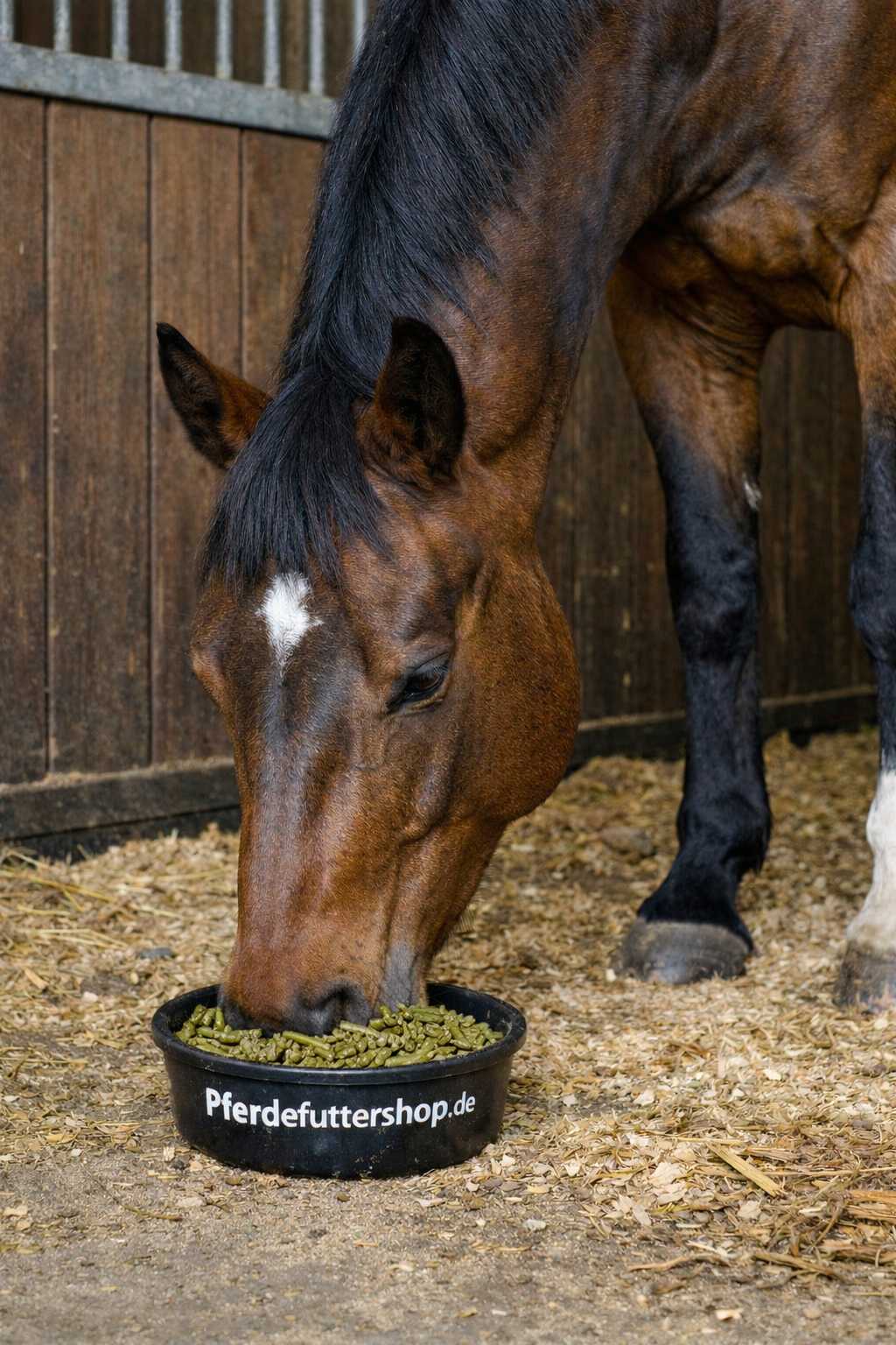 Braunes Pferd frisst grüne Futterpellets aus einer Futterschüssel im Pferdestall