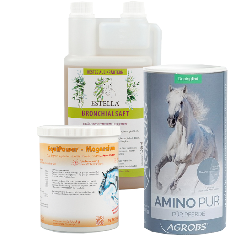 Winter-Balance-Bundle – Für starke Nerven, freie Atemwege & mehr Muskelkraft