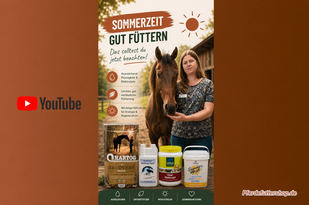 Sommerfütterung beim Pferd mit Tipps zur Versorgung bei Hitze, Schwitzen und erhöhtem Flüssigkeitsbedarf